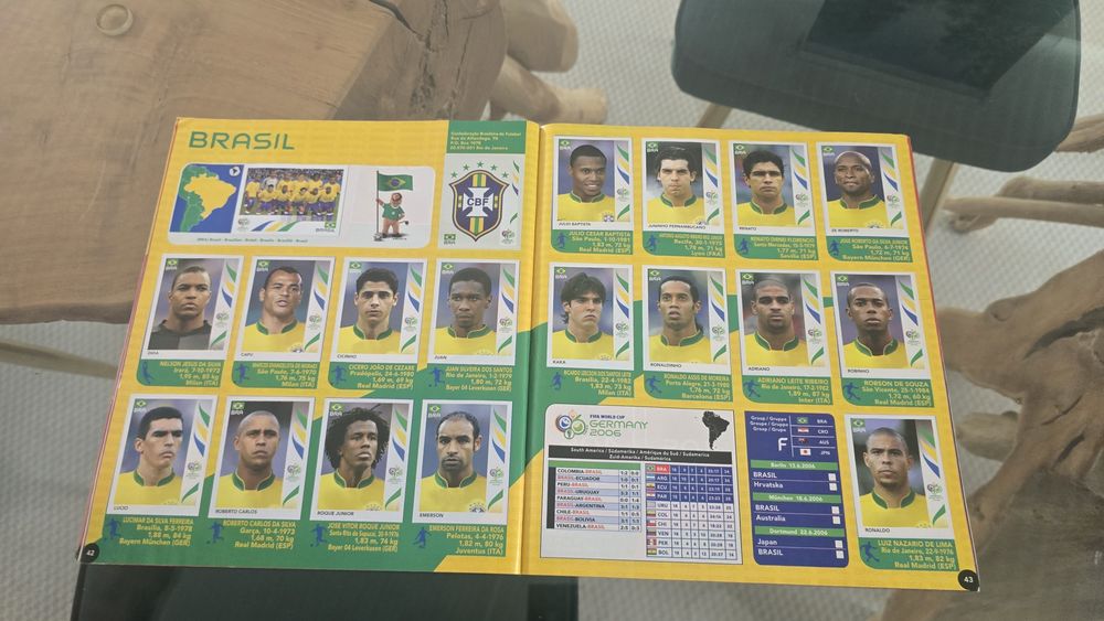 Panini fiffa world cup  2006 completa