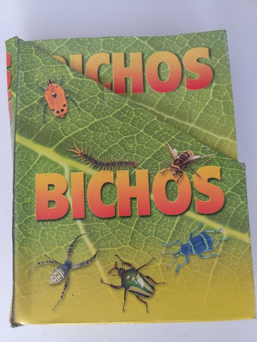 Coleção de Bichos em blocos de resina