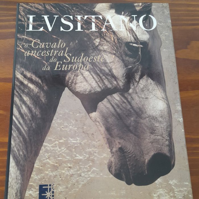 New Lusitano Horse