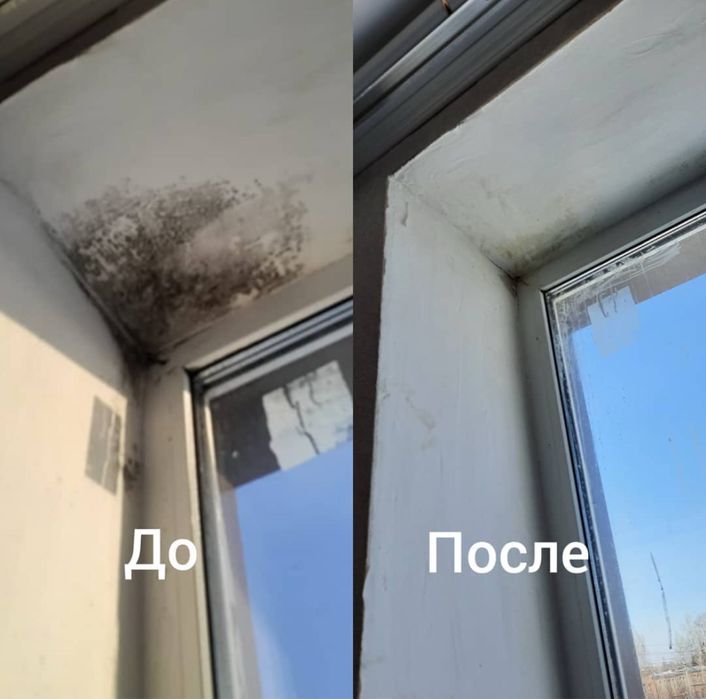 Професійне знищення тарганів клопів блох, гризунів, плісняви,Гарантія!