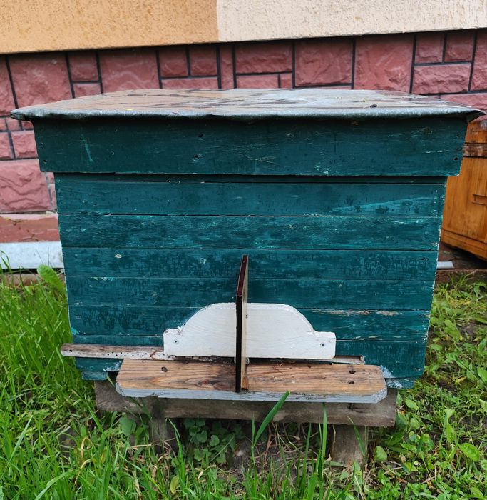 Продається  вулик