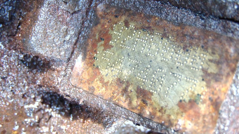 silnik 192a8000 fiat bravo ii stilo 1.9 8v mjet 120km z wtryskami pomp