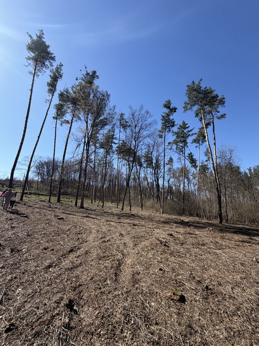 Продаж ділянок КМ Нова Ходосівка 8-10 соток с. Ходосівка Новообухівська траса всі комунікаціі МегаМаркет Alfresco