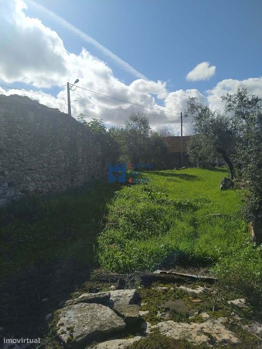 Moradia em ruina com terreno em Maxieira