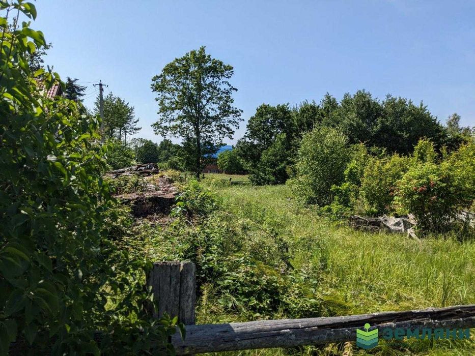 Продається ділянка в с. Нова Гута, 10 сот під будівництво (8)