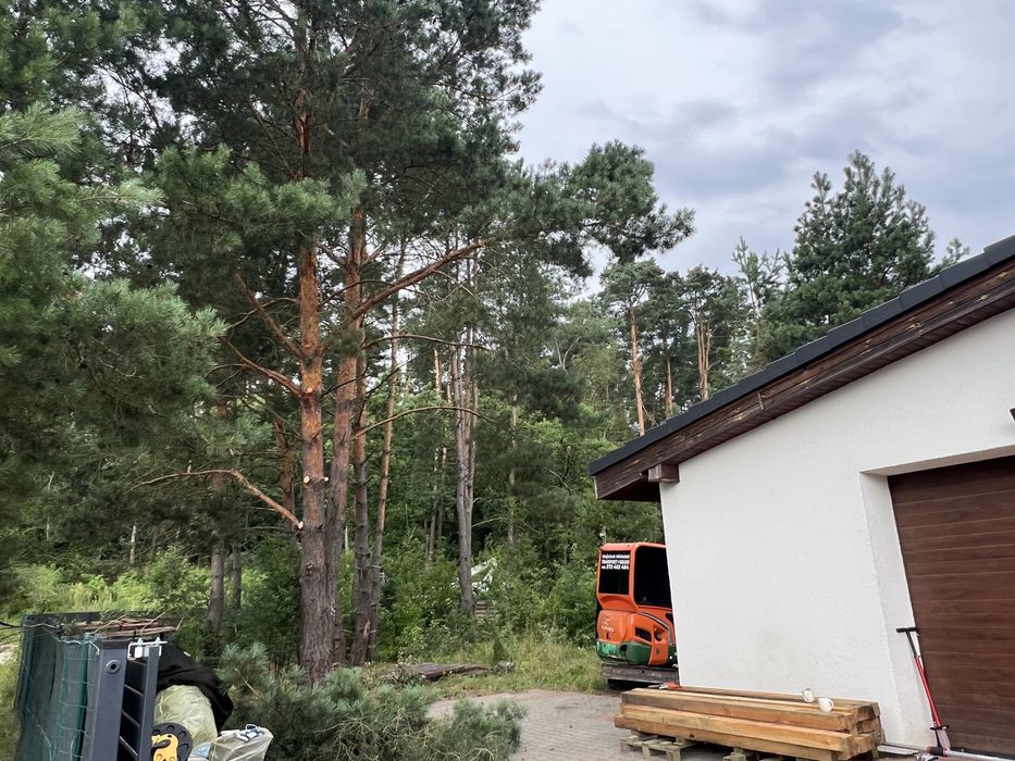 Wycinka drzew, trudnych, frezowanie korzeni, utylizacja odpadow zielonych