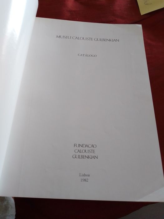 Domingos Álvarez-Aspecto Sé Porto-Foto Pombo20E-Carapins Bébé3EDesde3E