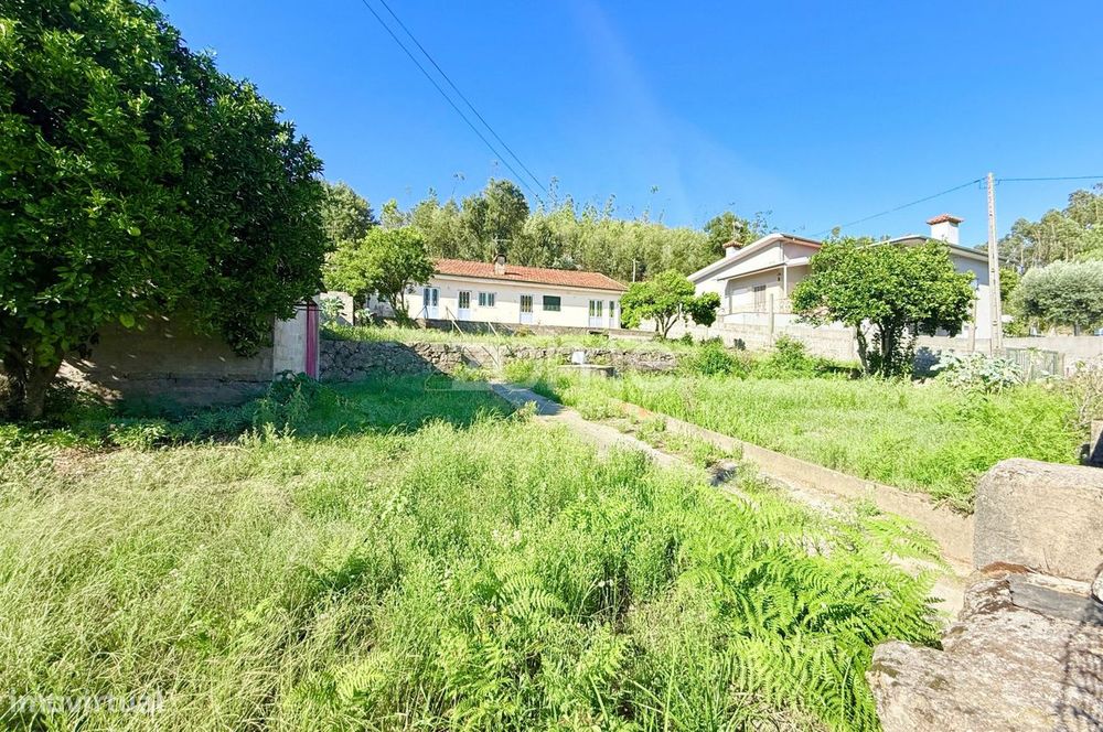 Moradia Térrea com 766 m² de Terreno e Poço