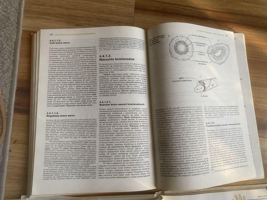 Biologia ze ślimakiem  Czechowski matura repetytorium PWRiL 1989