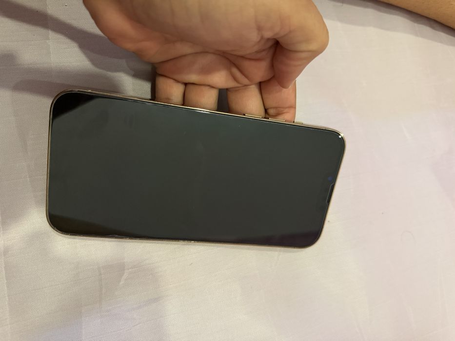 iPhone 13 PRO MAX 256 GB