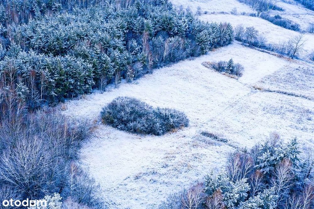 Działka Twoja Ostoja - niedaleko Jeziora Narnie – pohled 5