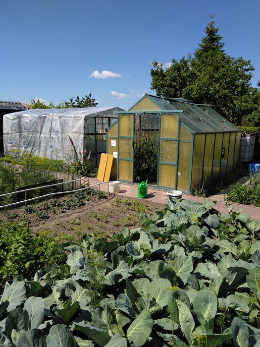 Działka ROD,Ogrodowa z prądem