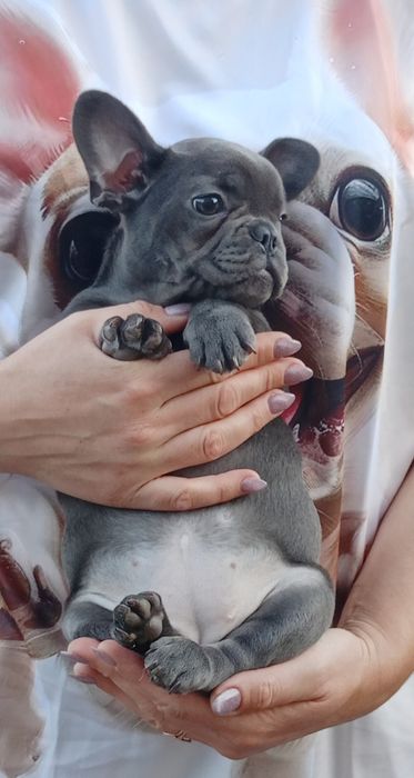 Нюшка франушка..