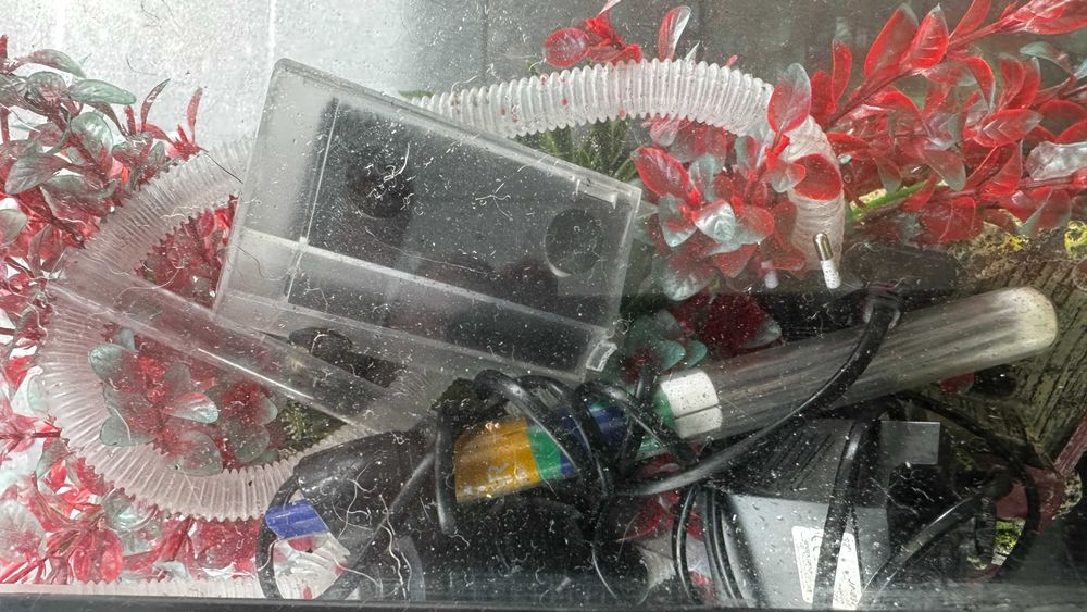 Aquário com acessórios