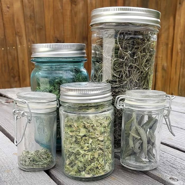 Ervas aromáticas caseiras