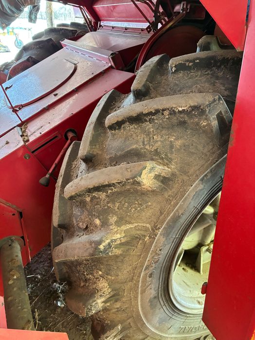 Мойсей форгусон 16