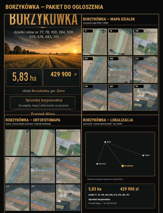 BORZYKÓWKA — 5,83 ha — 429 900 zł