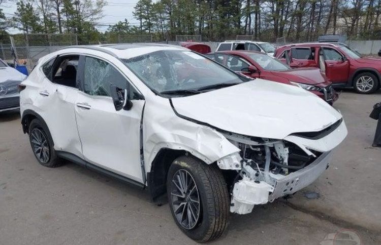 Lexus NX 300 h Premium
