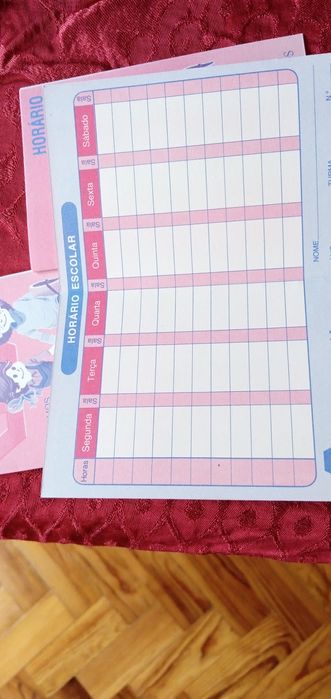 I'm over the moon! And you? – Vintage School Timetables C.G.D. 2E. – Pencil 2E.64551204512643123