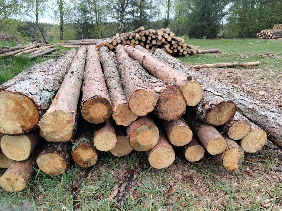 Ogród,Słupki,Słupy,Ogrodzenie