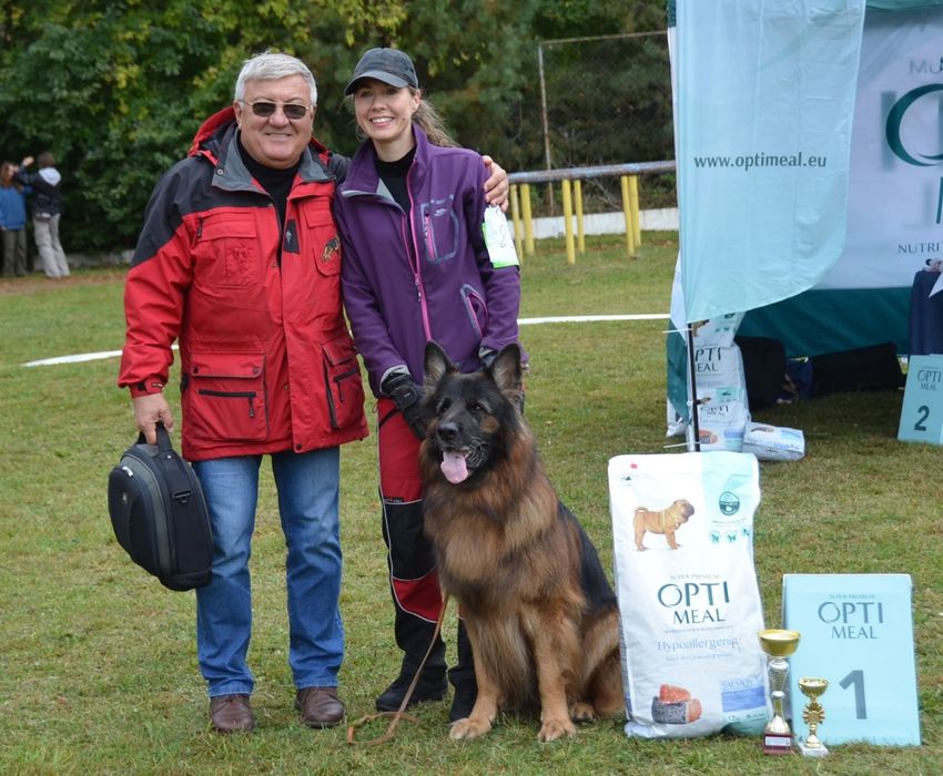 Розплідник Німецької вівчарки цуценята