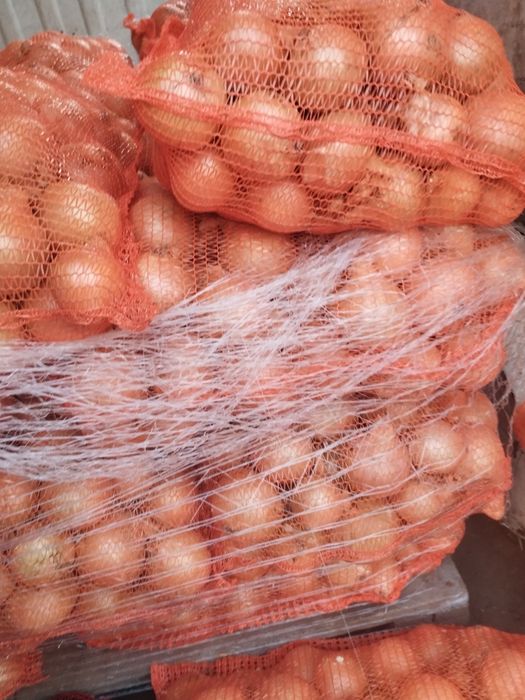 Sprzedam warzywa cebule marchew