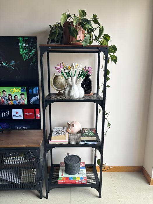 Conjunto moveis de sala moderno Ikea FJALLBO