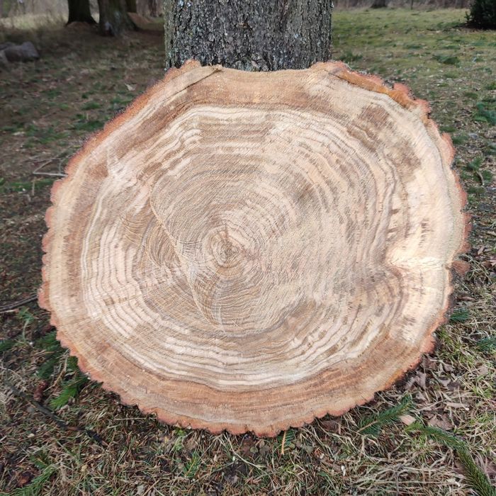 Okrągłe pilastry dębowe