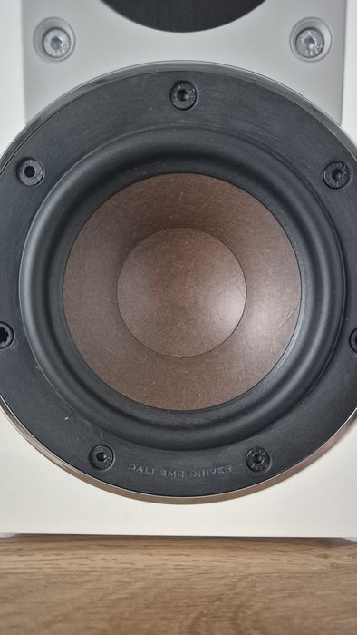 Kolumny głośniki Dali Opticon 1