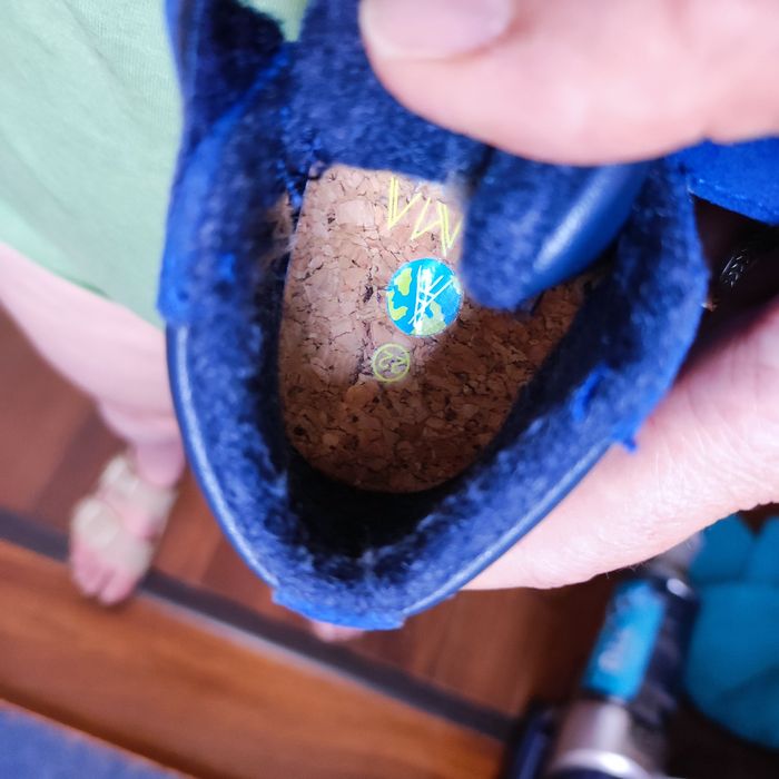 Sapatilhas  da marca Alma Planète