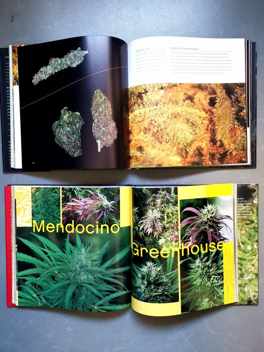 Livros Canábis - Cannabible 1a edição