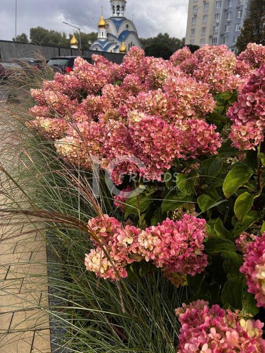 Паркінг в ЖК Метрополіс під 3 будинком