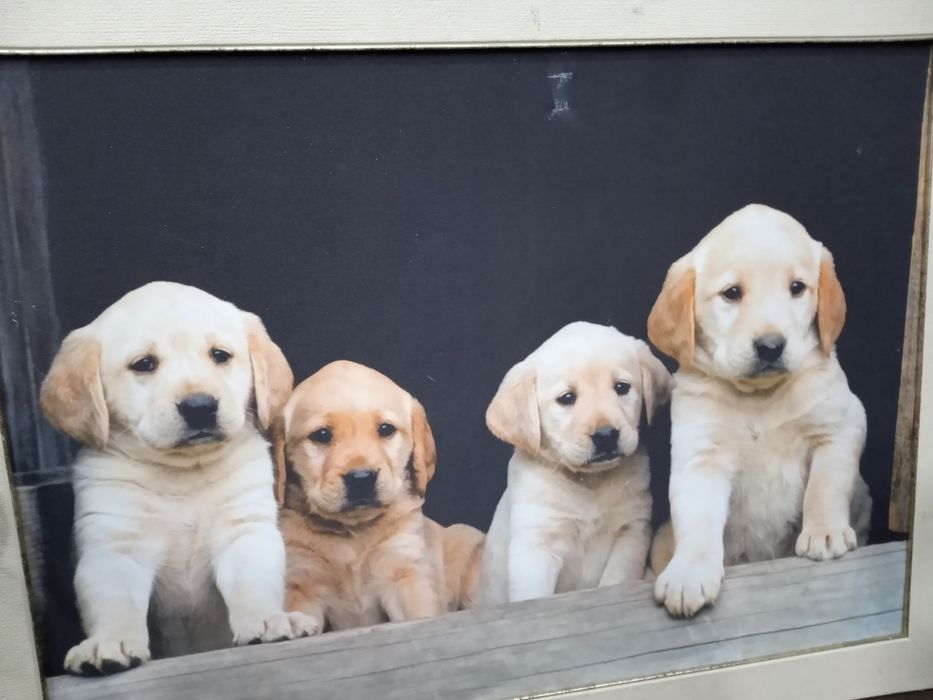 Картина на холсте