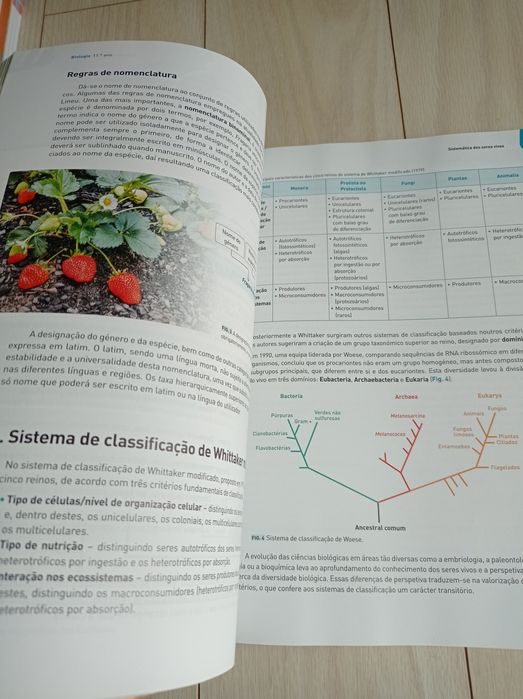 Livro preparação exame Biologia Geologia 11* ano