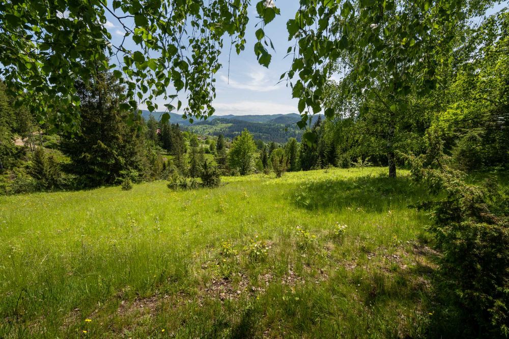 Земельна ділянка с. Микуличин 129 соток