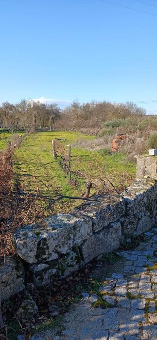 Terreno agrícola 2.734 m² com poço – Malta, Pinhel | €15 000