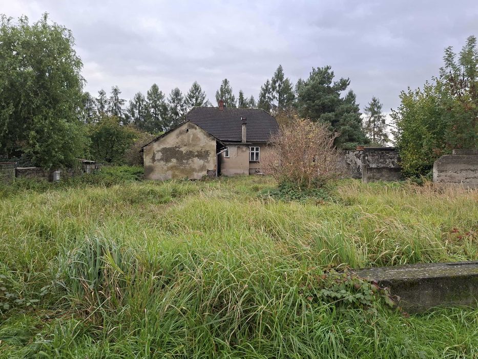 dom i zabudowania gospodarcze