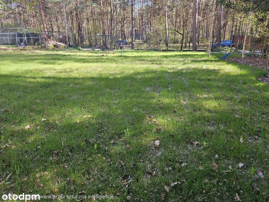 Józefów ul. Polna |919 m²|działka w otoczeniu zieleni i nowej zabudowy - View 2