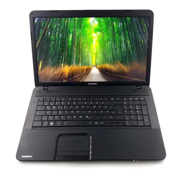Toshiba C870(Разборка)