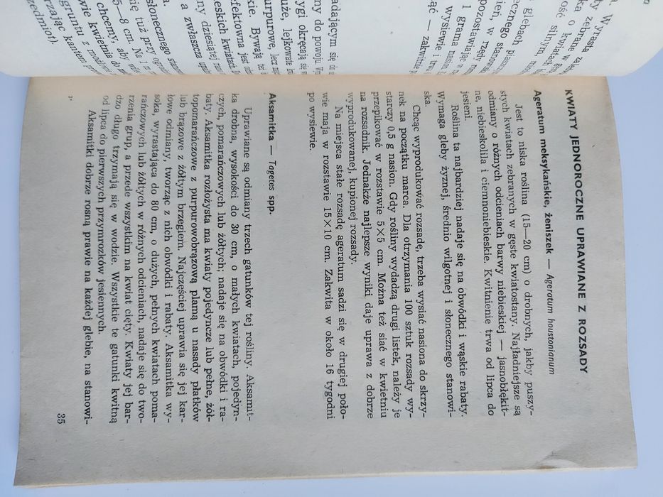 Uprawa roślin ozdobnych w POD - Izabela Kiljańska