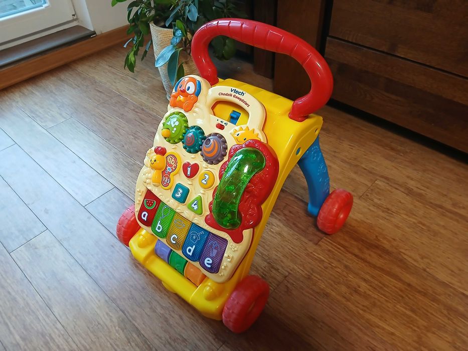 Chodzik Pchacz Gawedziarz