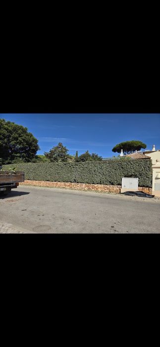 Manutenção Jardins & Piscinas | Garden & Pool Maintenance 
 Jardins &