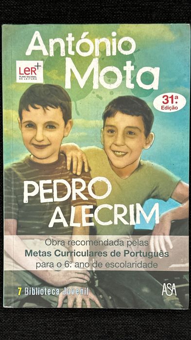 Livro "Pedro Alecrim" de António Mota