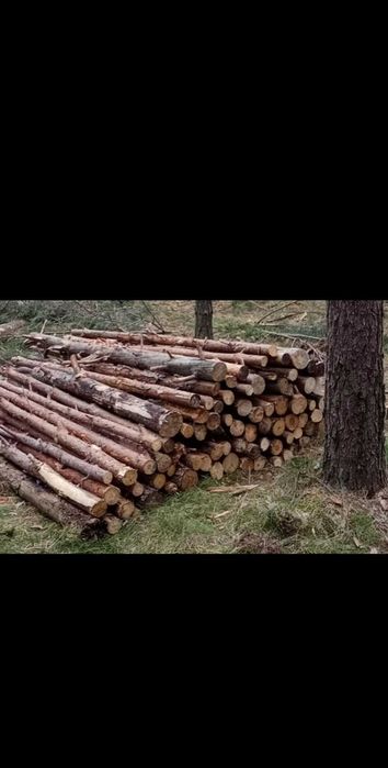 Tanie drewno opałowe sosna gubin okolice
