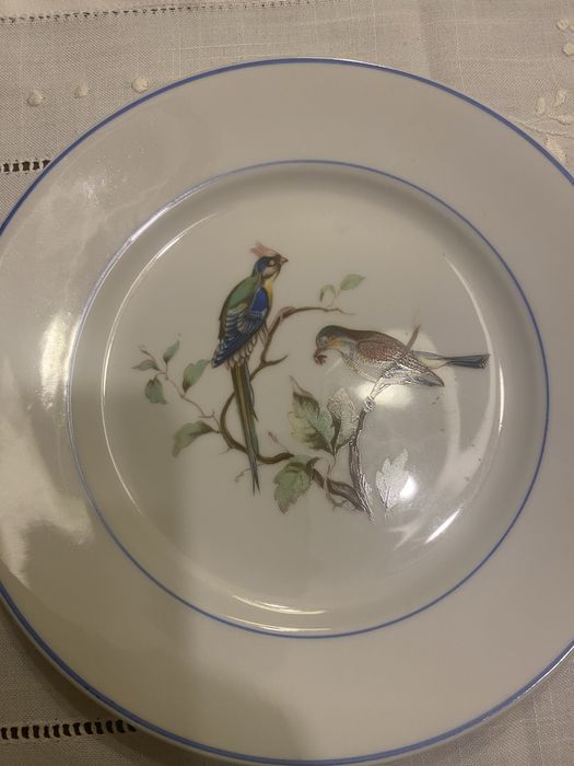 Coleçao 6 Pratos Passaros Vista Alegre