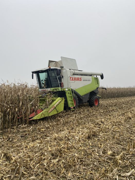 Zbiór kukurydzy koszenie kukurudzy zbóż