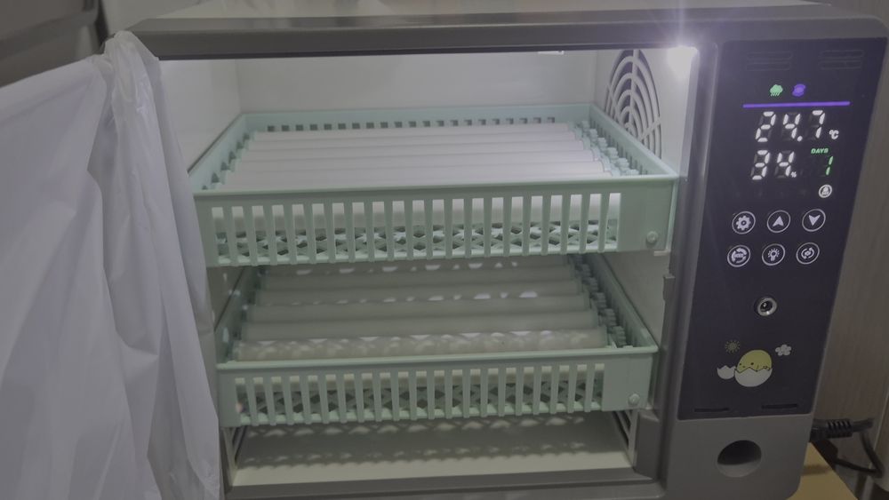 [NOVO] Incubadora/Chocadeira 24 Ovos Galinha