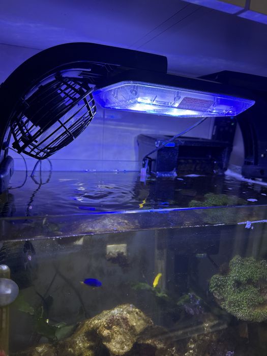 Vendo aquario marinho uegente