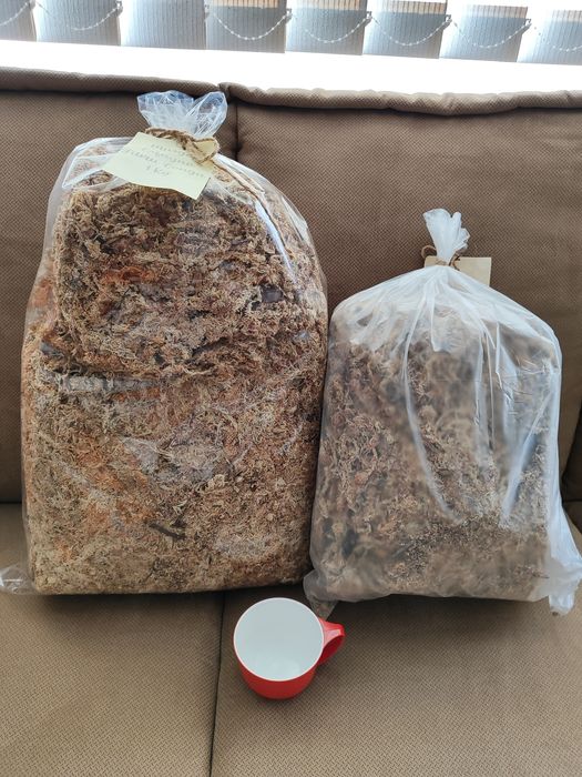 Orquídeas Musgo Esfagno Desidratado 1 Kg