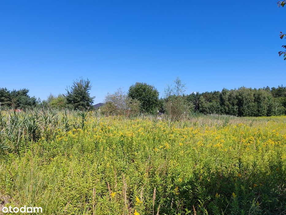 Działka 900m² w spokojnej lokalizacji - Widok 5